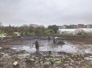彭水河道鱼塘清淤